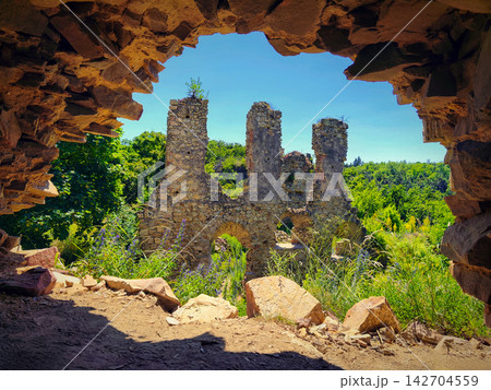 The beautiful old ruins of the Templstejn castle on the hill with the Jihlava river valley. South Moravia - Czech Republic. 142704559