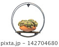Minimalist circular metal wall planter with potted ball cactus cluster on white background 142704680
