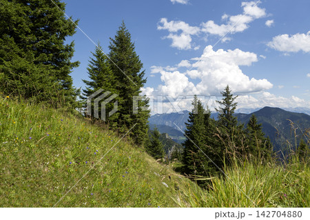 View from mountain top of Teufelstaettkopf in Bavaria, Germany View from mountain top of Teufelstaettkopf in Bavaria, Germany 142704880