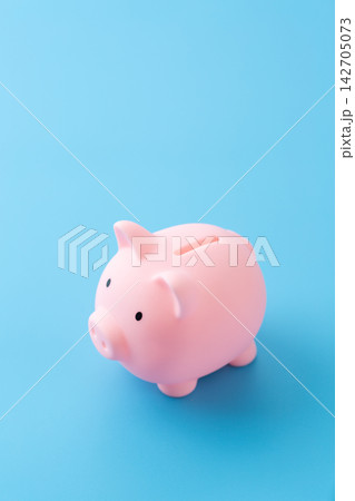 ピンクの豚の貯金箱 ピンクの豚の貯金箱 142705073