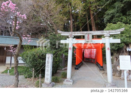 水戸偕楽園に隣接する常盤稲荷神社の鳥居 水戸偕楽園に隣接する常盤稲荷神社の鳥居 142705166
