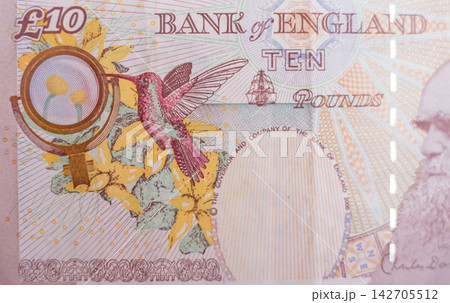 World money collection. Fragments of England money 142705512