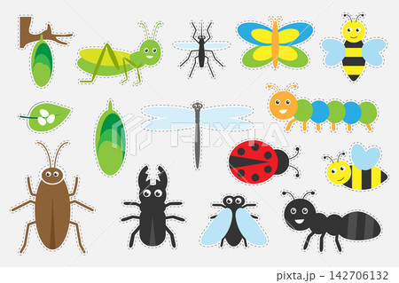 Different colorful insects pictures for children, fun education game for kids, preschool activity, set of stickers, vector illustration Different colorful insects pictures for children, fun education game for kids, preschool activity, set of stickers, vector illustration 142706132