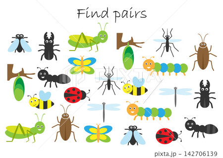 Find pairs of identical pictures, fun education game with insects theme for children, preschool worksheet activity for kids, task for the development of logical thinking, vector illustration Find pairs of identical pictures, fun education game with insects theme for children, preschool worksheet activity for kids, task for the development of logical thinking, vector illustration 142706139