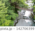 新緑に映える祖谷のかずら橋Suspension bridgeと渓谷の風景Drone（徳島県三好市） 142706399