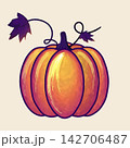 Large textured pumpkin isolated on a light background. 142706487