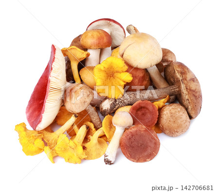 Fresh wild mushroom mix with chanterelle,saffron milk cap,slippery jack,forest champignon,birch bolete, and russula. Isolated on white background, Fresh wild mushroom mix with chanterelle,saffron milk cap,slippery jack,forest champignon,birch bolete, and russula. Isolated on white background, 142706681