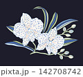 Elegant Orchid Botanical Illustration Featuring Delicate Spotted Blossoms And Gracefully Curving Leaves 142708742