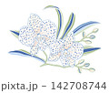 Elegant Orchid Botanical Illustration Featuring Delicate Spotted Blossoms And Gracefully Curving Leaves 142708744