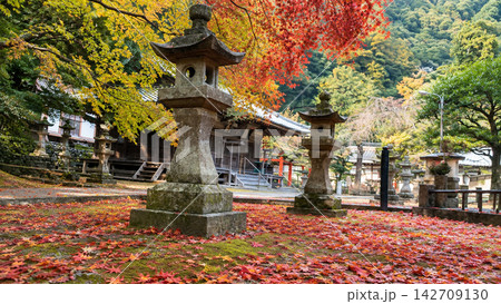 秋の寺院境内と石灯籠、紅葉に彩られた日本の風景 秋の寺院境内と石灯籠、紅葉に彩られた日本の風景 142709130