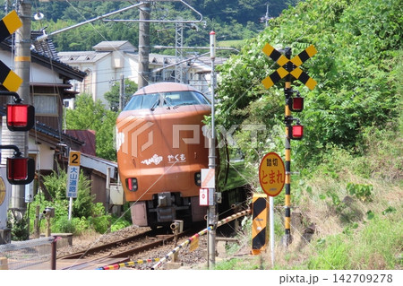 大山道路踏切を通過するJR西日本273系新型特急やくも 大山道路踏切を通過するJR西日本273系新型特急やくも 142709278