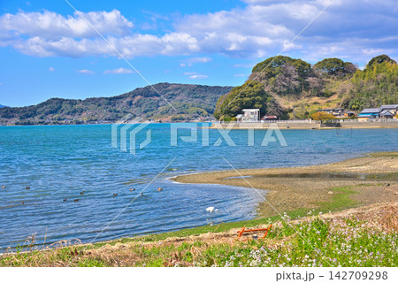 《静岡県》浜名湖の風景 浜松市浜名区細江町付近 《静岡県》浜名湖の風景 浜松市浜名区細江町付近 142709298