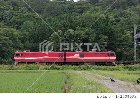 赤い貨物機関車が走る里山風景 水田と森に囲まれた鉄道 142709635