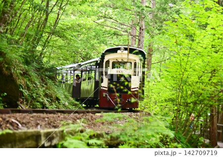 森林鉄道の丸山渡停車場発のトロッコ列車 森林鉄道の丸山渡停車場発のトロッコ列車 142709719