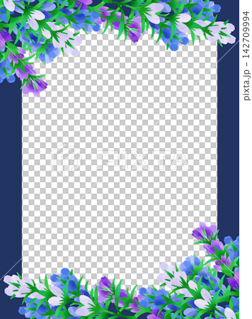 りんどうの花のイラストフレーム 142709994