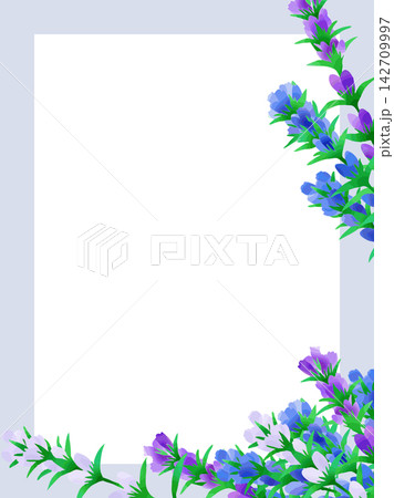りんどうの花のイラストフレーム 142709997