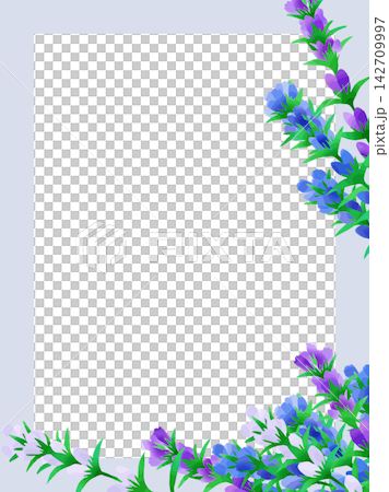 りんどうの花のイラストフレーム 142709997