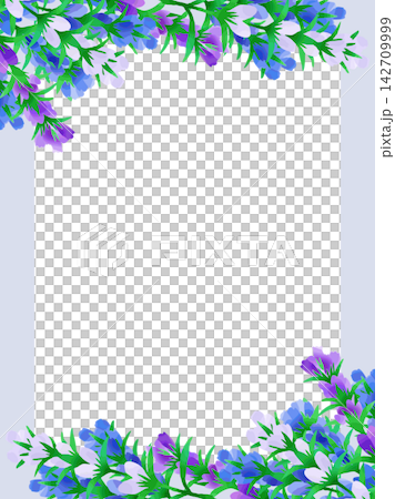 りんどうの花のイラストフレーム りんどうの花のイラストフレーム 142709999