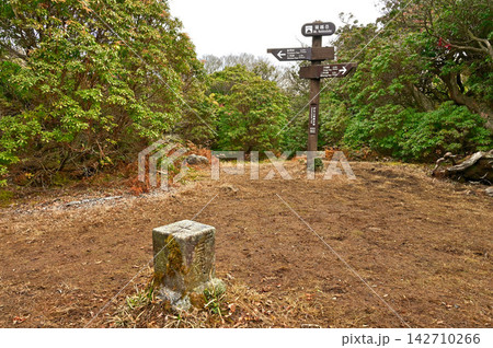 伊豆半島の伊豆山稜線歩道 猫越岳山頂 二等三角点(猫越峠) 伊豆半島の伊豆山稜線歩道 猫越岳山頂 二等三角点(猫越峠) 142710266