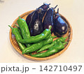 収穫した茄子と万願寺とうがらし 142710497