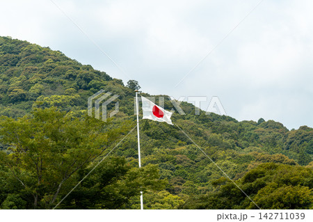 風になびく国旗 風になびく国旗 142711039
