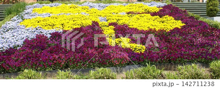 紫と黄色の花でトンボの絵柄を描いた大きな花壇 紫と黄色の花でトンボの絵柄を描いた大きな花壇 142711238