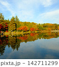 水面に映る紅葉 142711299