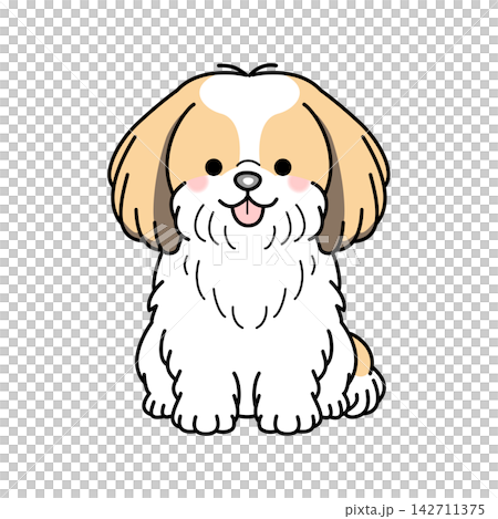 Vector illustration of a Shih Tzu (full body) Vector illustration of a Shih Tzu (full body) 142711375