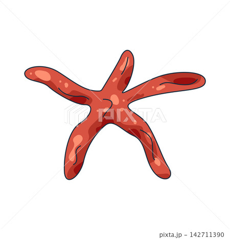 Illustration of starfish Illustration of starfish 142711390