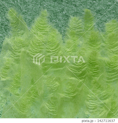 千切り和紙の背景素材(黄緑色/緑色) 千切り和紙の背景素材(黄緑色/緑色) 142711637
