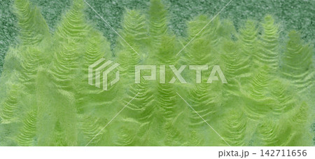 千切り和紙の背景素材(黄緑色/緑色) 千切り和紙の背景素材(黄緑色/緑色) 142711656