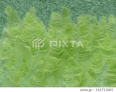 千切り和紙の背景素材(黄緑色/緑色) 千切り和紙の背景素材(黄緑色/緑色) 142711665