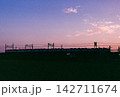 （フィルム写真）トワイライトに染まる電車のシルエット 142711674