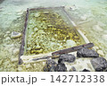 草津温泉　湯畑　湯けむりのたつ将軍御汲上の湯枠（群馬県吾妻郡草津町） 142712338