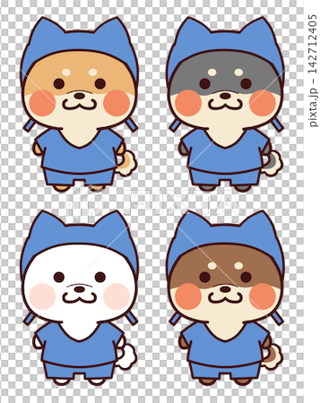 穿著手術服的柴犬 穿著手術服的柴犬 142712405