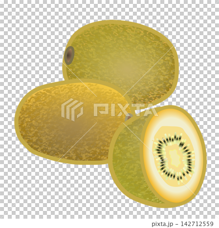 Kiwi fruit illustration Kiwi fruit illustration 142712559