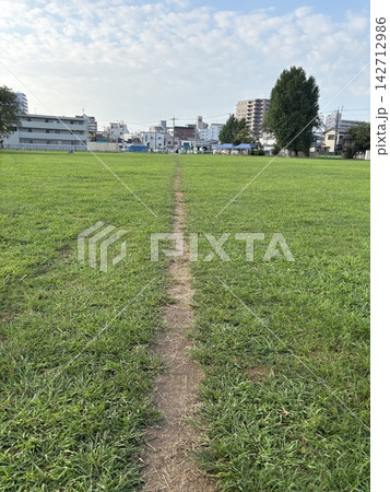 埼玉県桶川市の緑の広場に伸びる一本道 埼玉県桶川市の緑の広場に伸びる一本道 142712986
