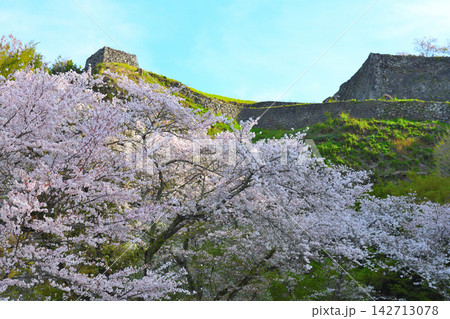 春の岡城址 春の岡城址 142713078