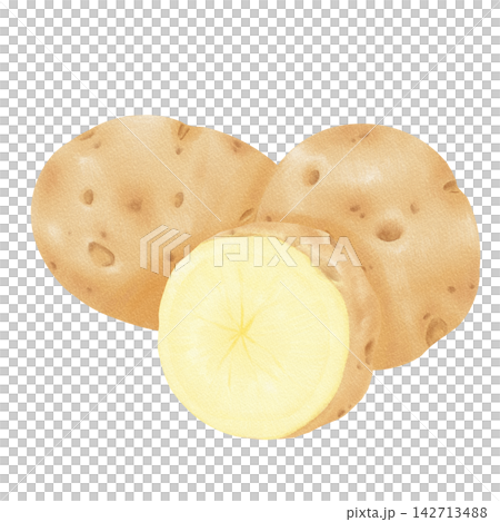 Half a potato painted in watercolor Half a potato painted in watercolor 142713488