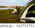 Beagle dog sitting in a folding camping chair beside a tent on a grassy lakeshore, surrounded by a peaceful mountain landscape.  142713751