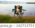 Beagle sitting on a chair by a calm lake on a sunny day in a green landscape 142713753