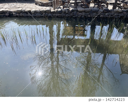 Spring morning reflections on pond, Gubei Water Town Spring morning reflections on pond, Gubei Water Town 142714223