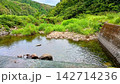 緑豊かな山里を流れる清流と河原の夏風景 142714236