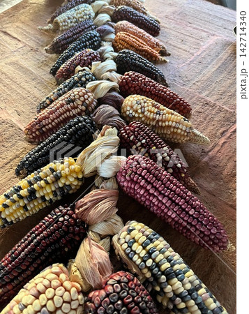 メキシコ・オアハカの伝統的な色鮮やかな乾燥在来種トウモロコシ(生物多様性・食文化) メキシコ・オアハカの伝統的な色鮮やかな乾燥在来種トウモロコシ(生物多様性・食文化) 142714340