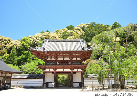 天野山金剛寺(楼門)　【大阪府河内長野市】 142714386
