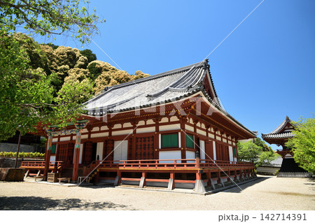 天野山金剛寺(金堂)　【大阪府河内長野市】 142714391
