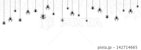 Spider border. Festive spider web and arachnid illustration. Halloween vector banners and dangerous holiday posters Spider border. Festive spider web and arachnid illustration. Halloween vector banners and dangerous holiday posters 142714665