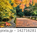 秋の紅葉と落ち葉に彩られた日本の橋の風景 142716281