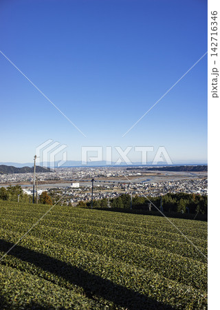 島田市から望む冬の茶畑越しの大井川流域 島田市から望む冬の茶畑越しの大井川流域 142716346