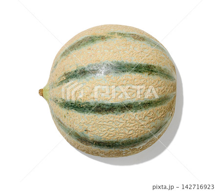 fresh green cantaloupe melon isolated on a clean white background fresh green cantaloupe melon isolated on a clean white background 142716923